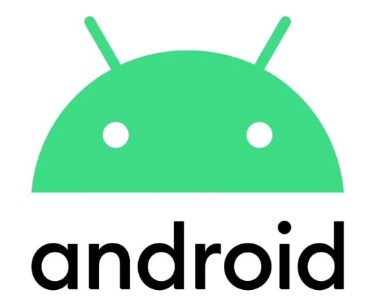 Google Android 10 logo