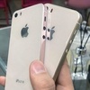 iPhone SE 2 má být představen v květnu, levný 6,1" Dual SIM iPhone později